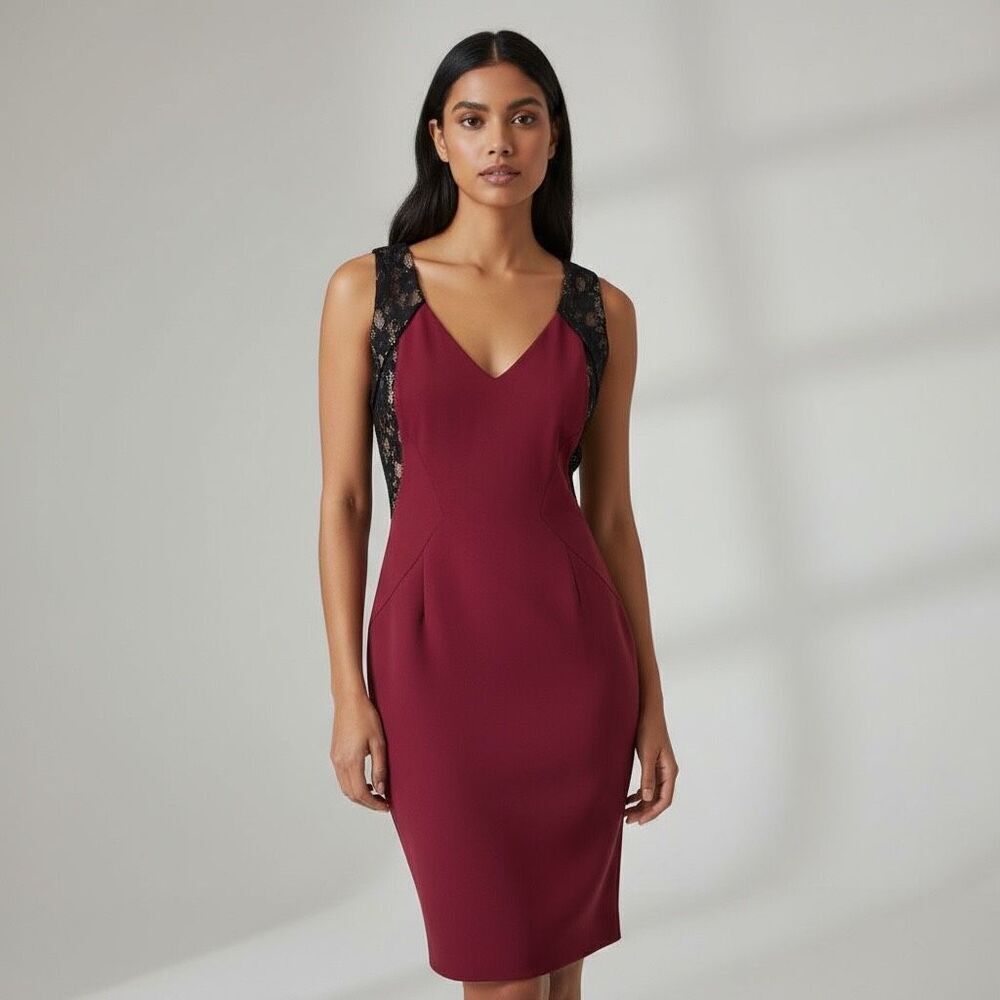 Adrianna Papell Burgundy Lace Inset Sheath Dress Size 4